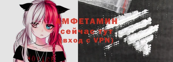 амф Горняк