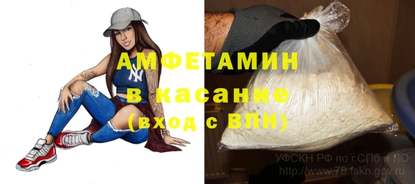 амф Горняк