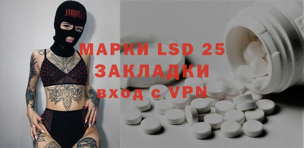 амф Горняк