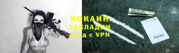 гидропоника Горнозаводск