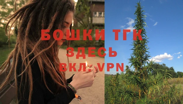 амф Горняк
