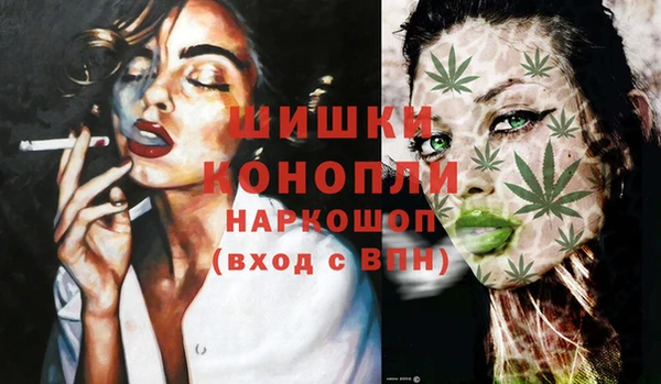 амф Горняк