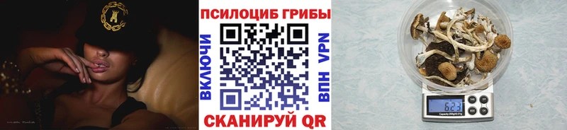 Псилоцибиновые грибы Magic Shrooms  даркнет сайт  Домодедово 